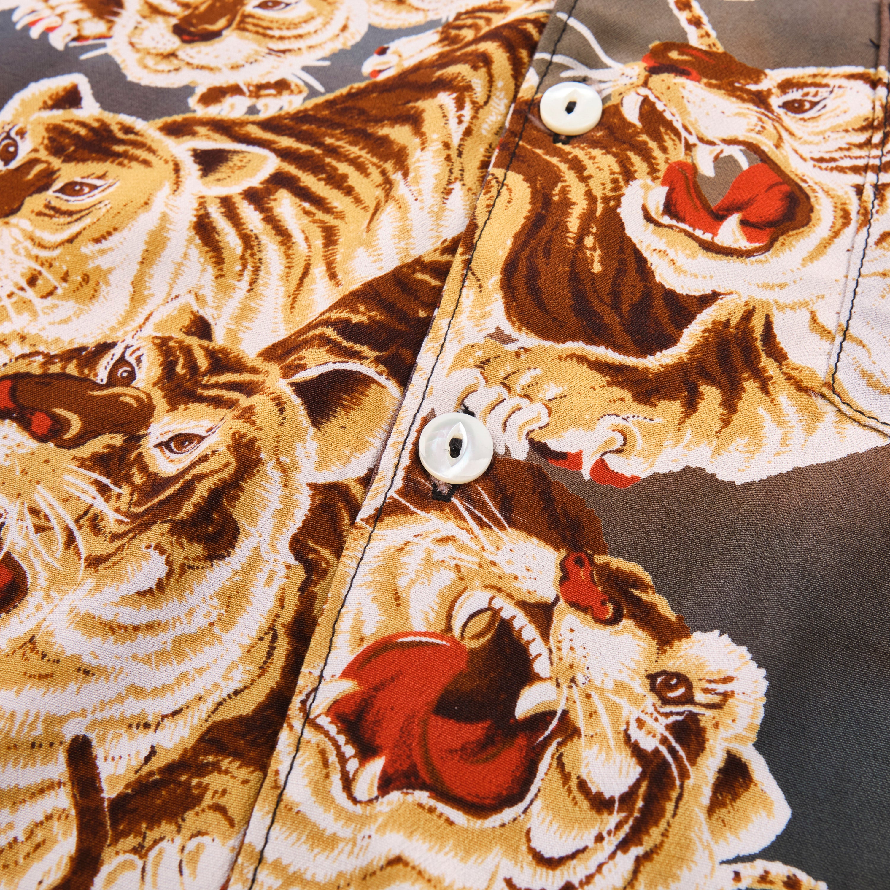 Cayucos Painted Tigers