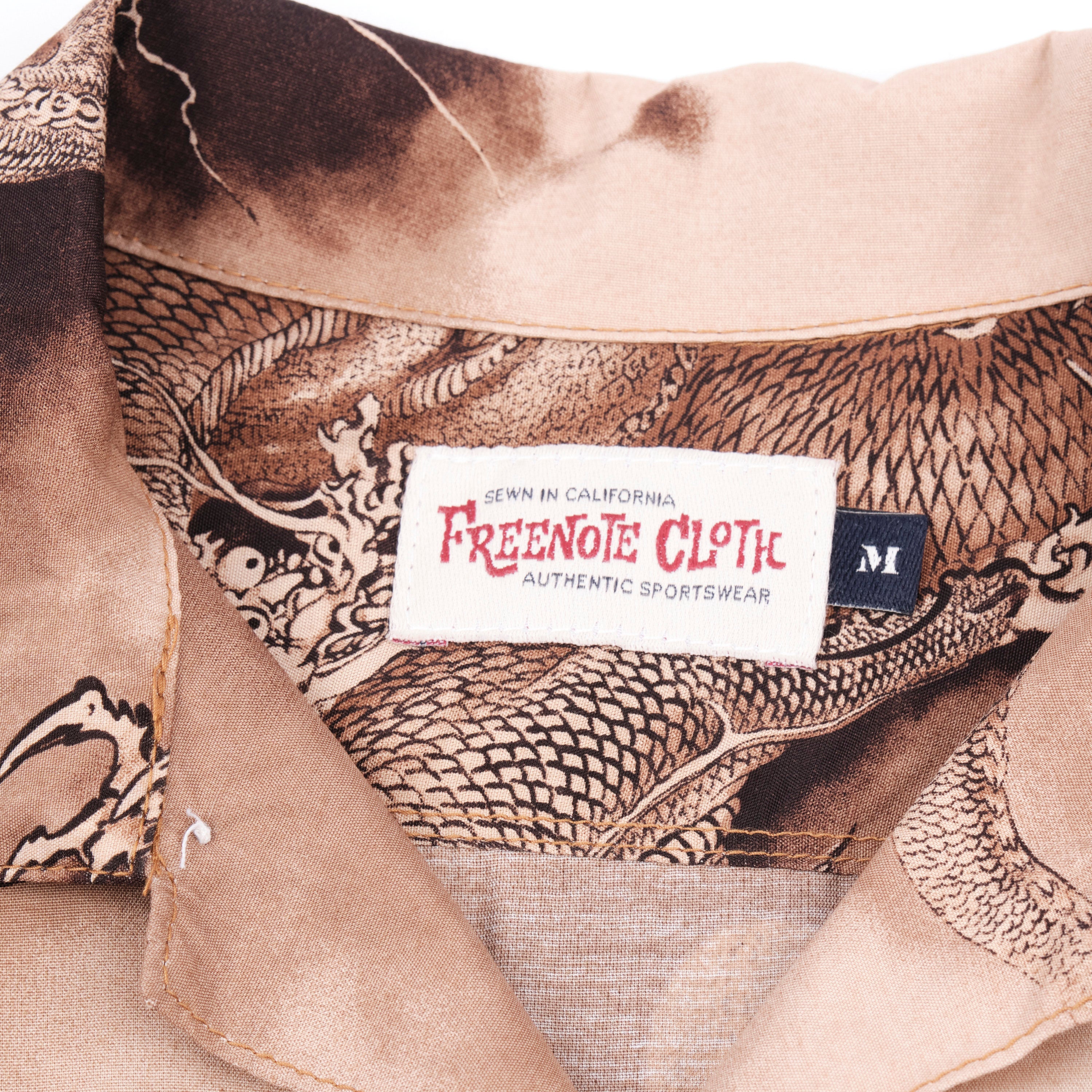 Hawaiian Brown Dragon