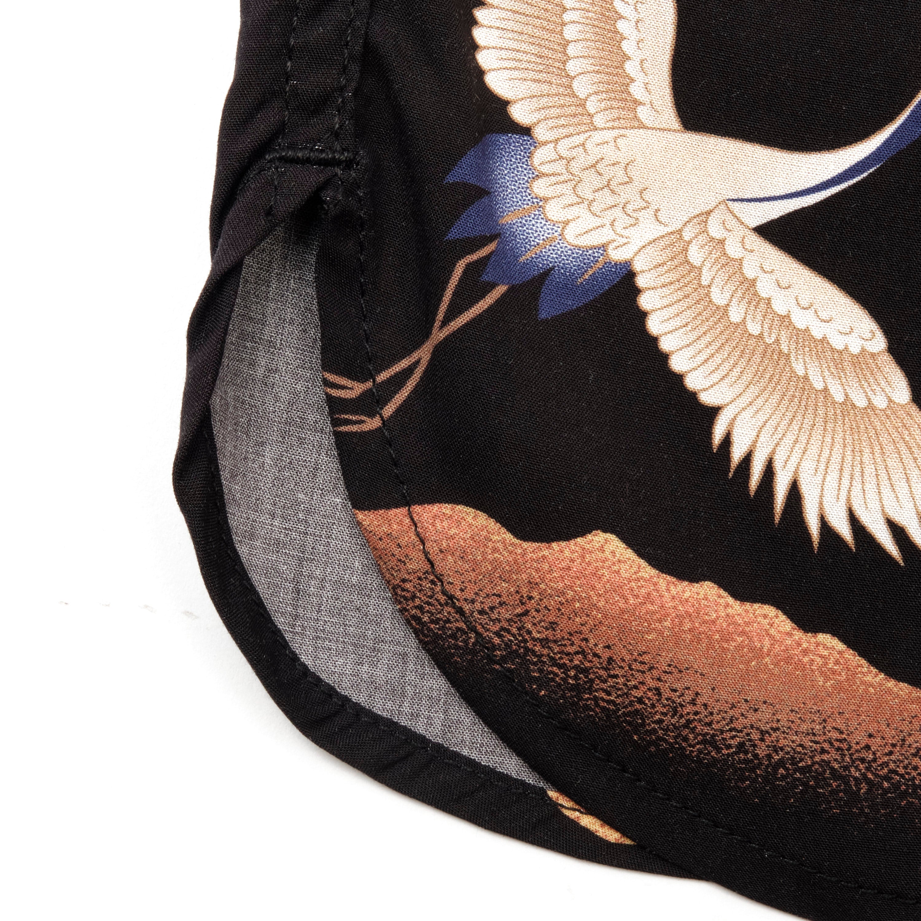 Hawaiian Black Crane