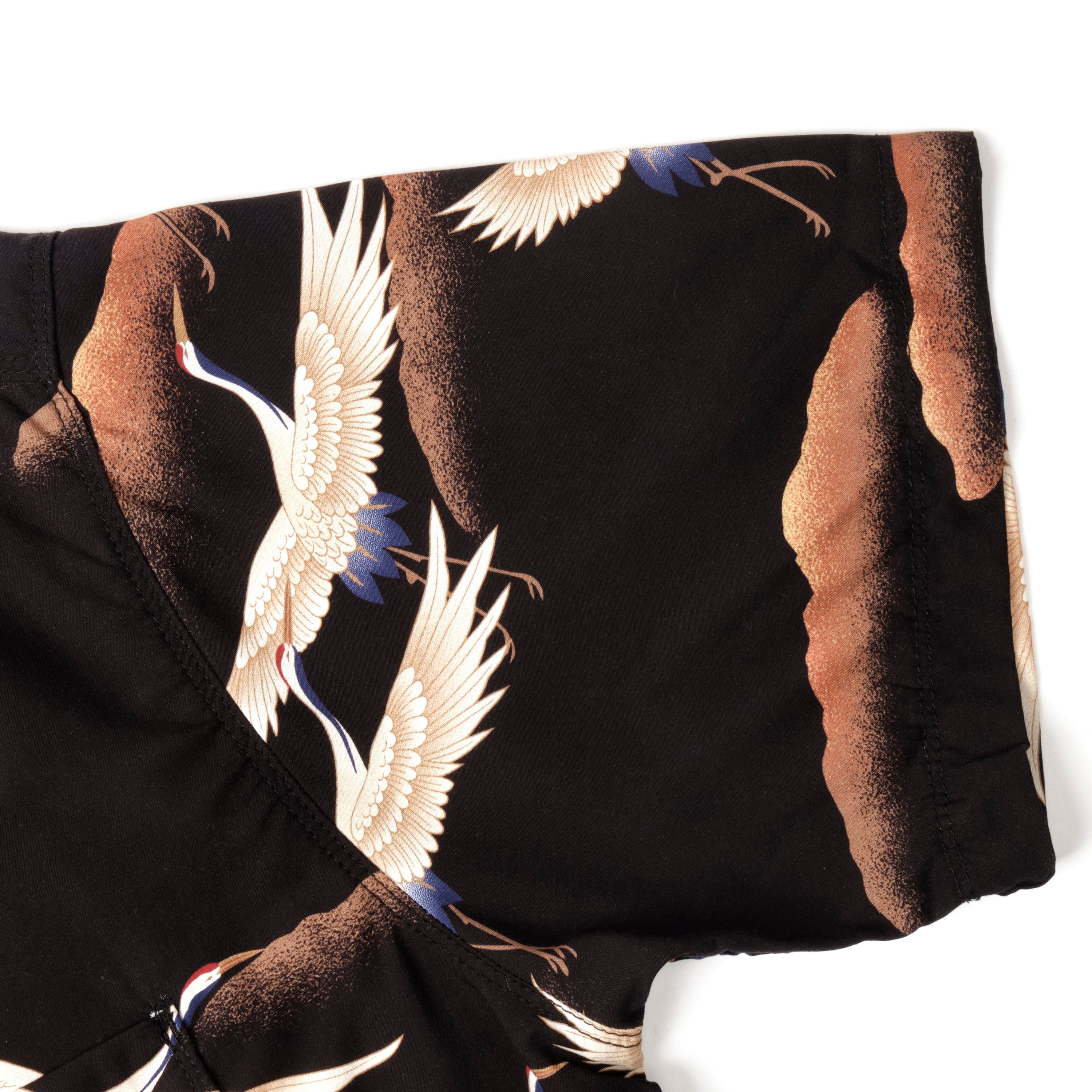 Hawaiian Black Crane