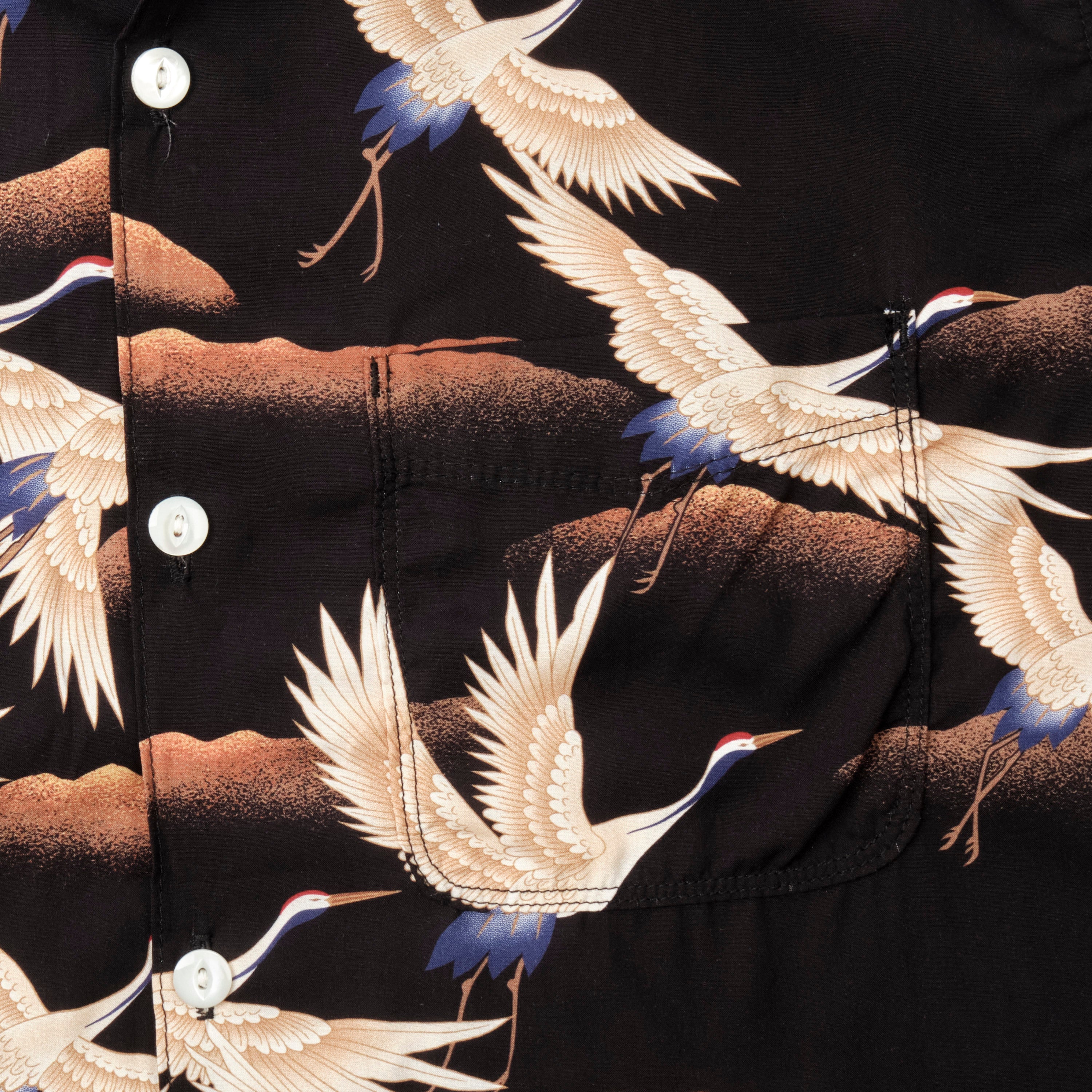 Hawaiian Black Crane