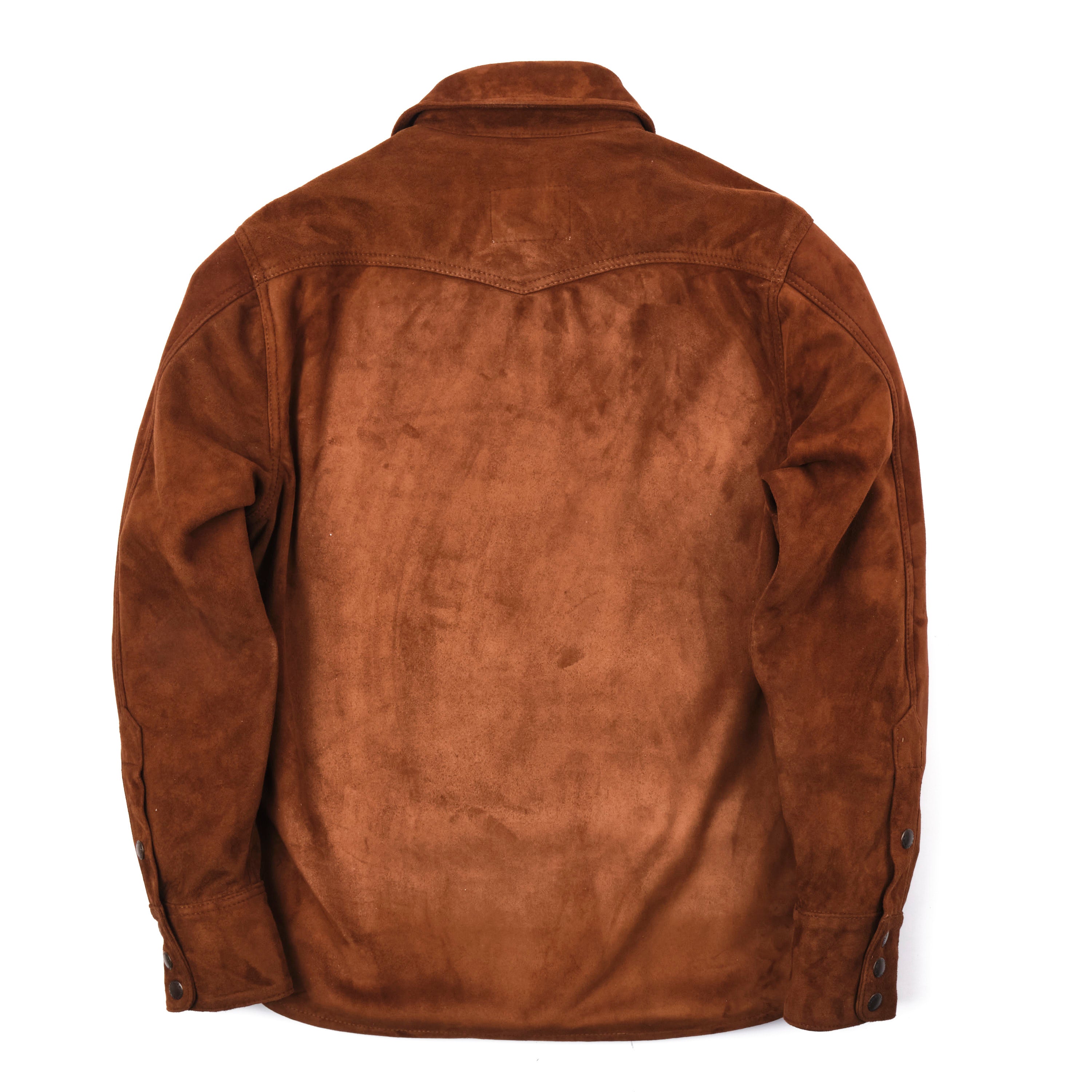 Western Scout Brown Deer